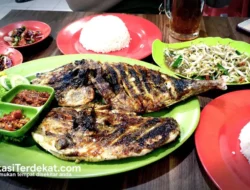 Menguak Rahasia Cita Rasa: Perbedaan Rasa Ikan Bakar Rumahan dan Warung yang Menggoda Selera