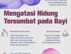 Panduan Lengkap Mengatasi Hidung Tersumbat pada Bayi Secara Aman dan Alami