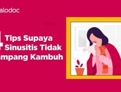 Panduan Lengkap Merawat Sinusitis Secara Alami Agar Tidak Mudah Kambuh